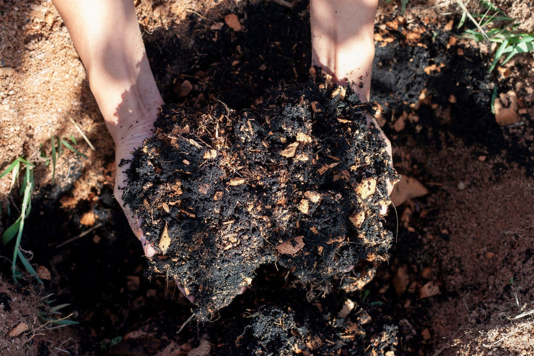 compost